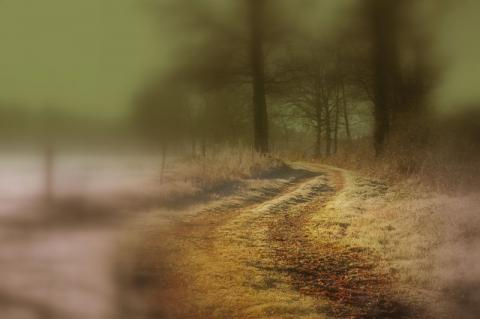 Chemin vers l'avenir